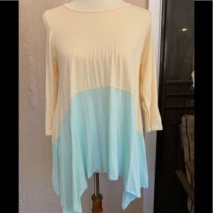 βοΈSaleβοΈFishtail Top